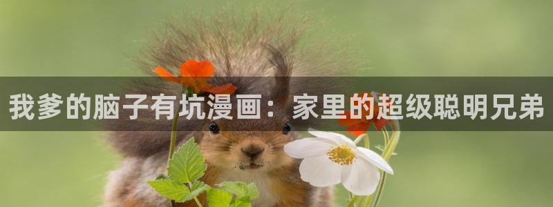歪歪漫画妖精动漫：我爹的脑子有坑漫画：家里的超级聪明兄弟
